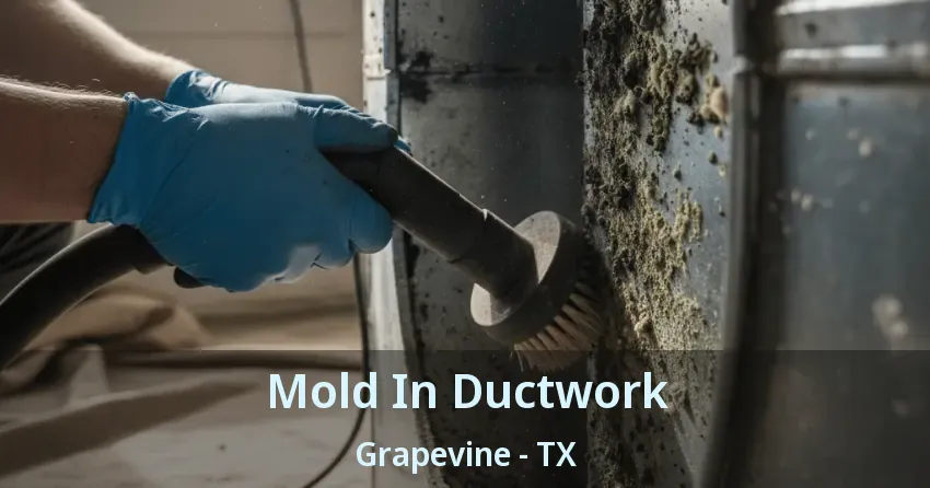 Mold In Ductwork Grapevine - TX Mold In Ductwork Grapevine - TX