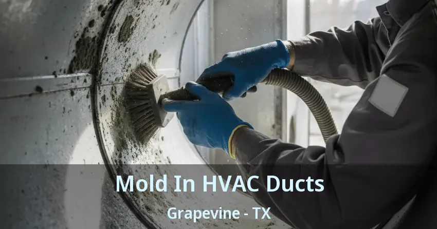 Mold In HVAC Ducts Grapevine - TX